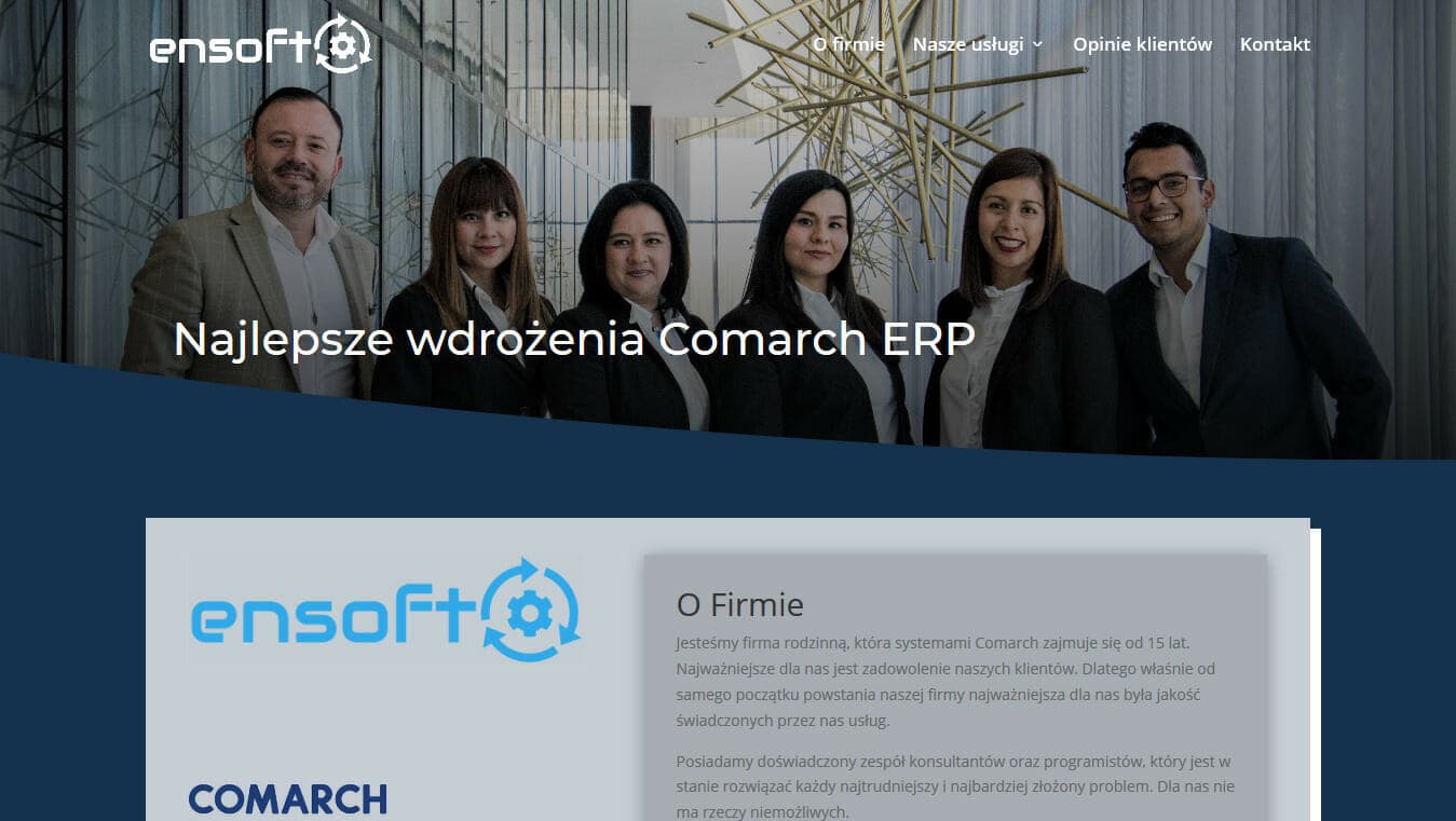 Strona firmy Ensoft projekt Divi