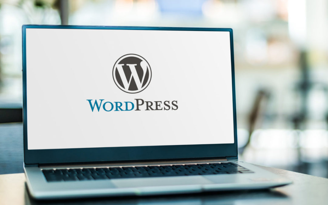 Korzystanie z CMS WordPress zalety i wady